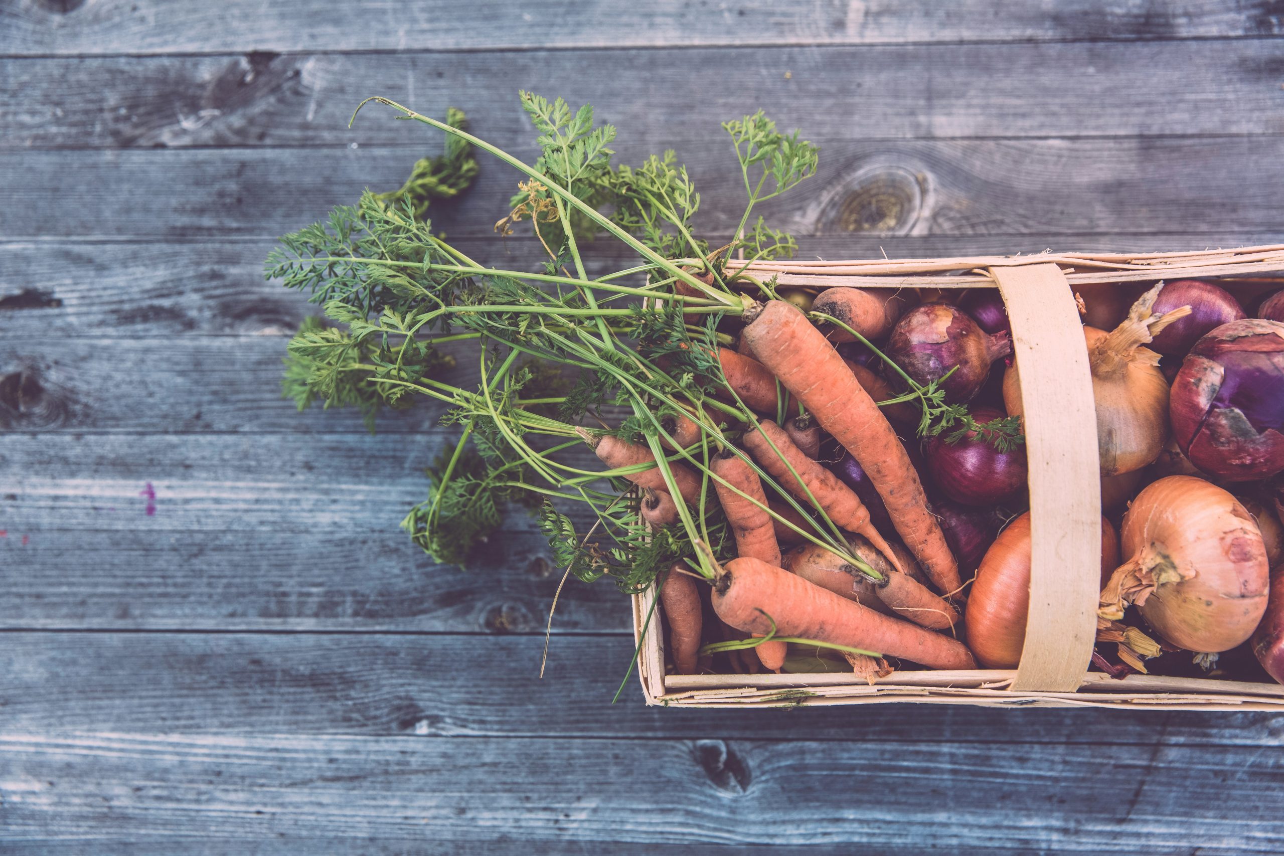 Vegetable Gardening Grow Your Own Ingredients